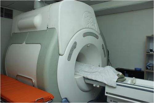 mri-telsa
